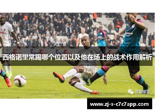 西格诺里常踢哪个位置以及他在场上的战术作用解析