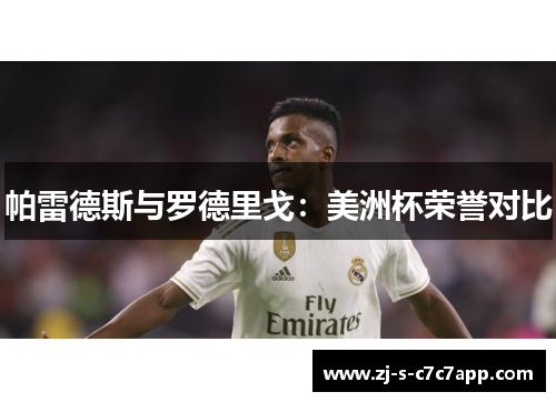 帕雷德斯与罗德里戈:美洲杯荣誉对比 帕雷德斯与罗德里戈:美洲杯荣誉对比