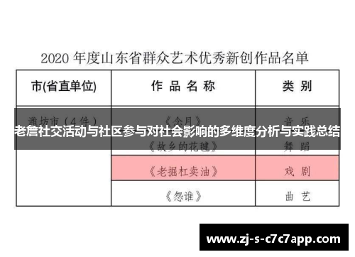 老詹社交活动与社区参与对社会影响的多维度分析与实践总结