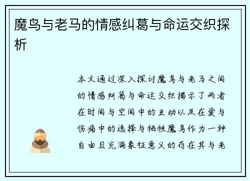 魔鸟与老马的情感纠葛与命运交织探析